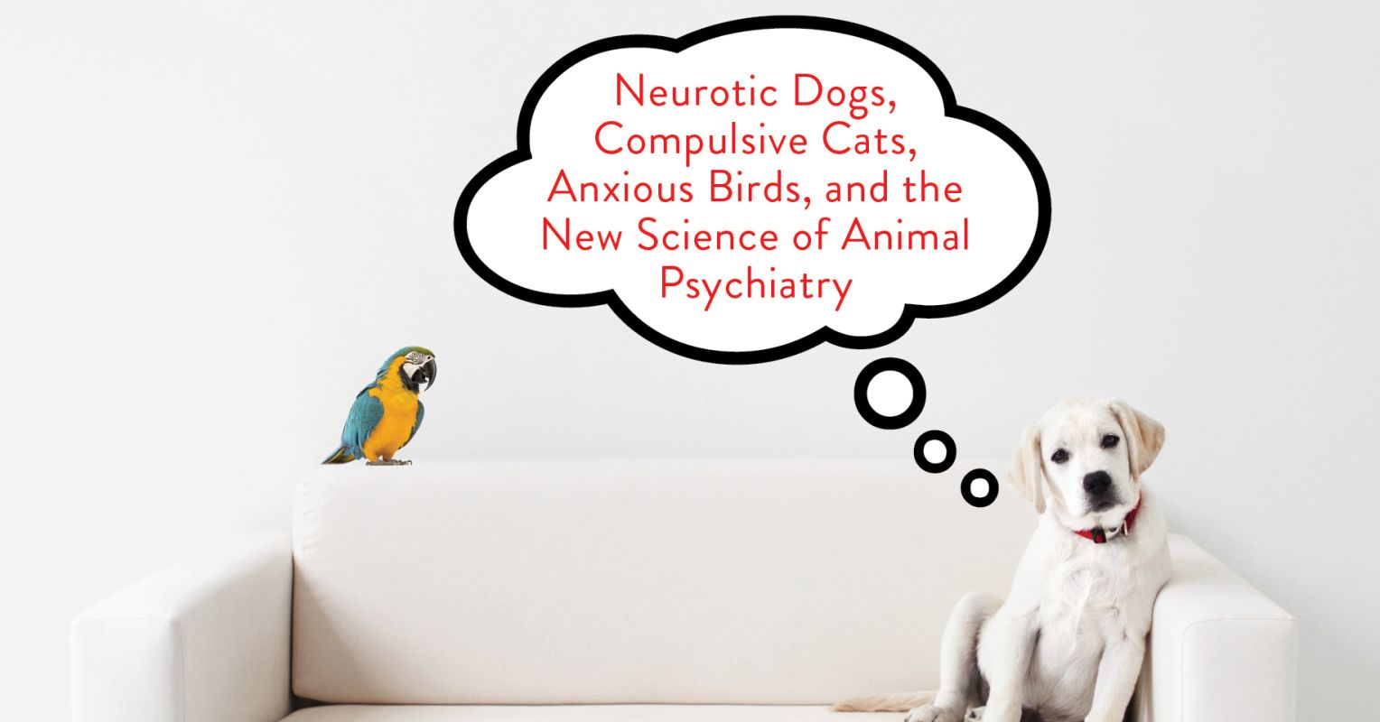 The New Science of Animal Psychiatry Psychology Today